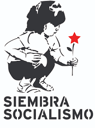 COMENTARIO Y PROPUESTA POR UNA ECONOMÍA SOCIAL SOLIDARIA. Héctor Vega