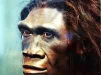 HOMO ERECTUS… VIVIÓ HACE UN MILLÓN DE AÑOS. COMO MARA SEDINI, NO SABÍA HABLAR… Luis Casado